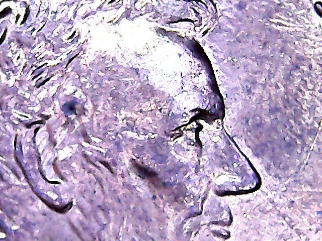 2000-P-1c-LMC-Die-Break?